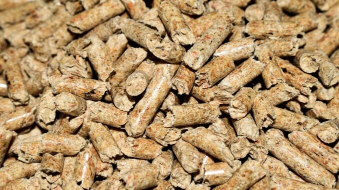 Holzpellets Holzpellets